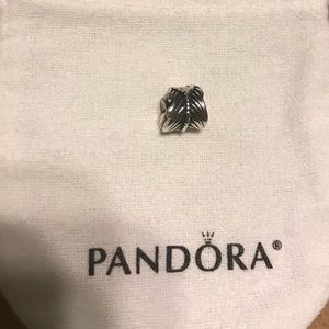 Pandora Charm